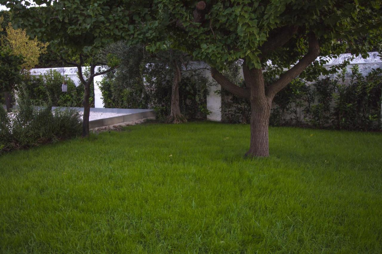 Villa Adelaide Suite & Room Torre A Mare Exterior foto